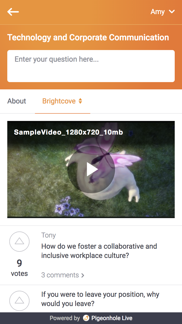 brightcove.png